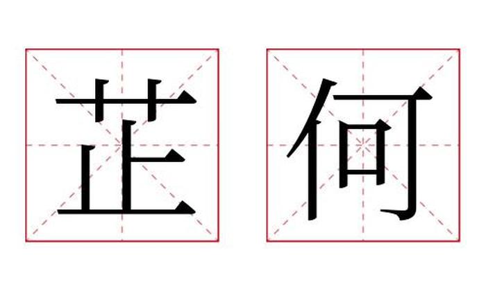 芷何名字寓意,芷何名字的含义